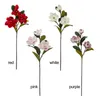 Fiori decorativi 1pc Fino fiore di simulazione magnolia pianta con foglie di oversize artificiale grande decorazione per la casa 3 teste sentenza schiumosa