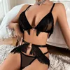 Bras stelt sexy kwastje lager lingerie exotische kostuums vrouw 3 stuks mesh pure erotisch ondergoed set transparant intiem pak