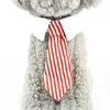 Hundekleidung einstellbare süße Haustier Mode Striped Krawatte reines Baumwollkatze Blau und rotes Kragen Accessoires Anzug für Welpenkätzchen