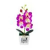 Fleurs décoratives papillon artificiel Orchidée Bonsaï Fausse fleur avec des orchidées de mite en pot Plantes de tissus non tissés