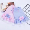 Odzież dla psa Summer Pet Princess Dress for Dogs Little Small Puppies Animal Cat Tutu Wedding Party Ubrania Chihuahua Yorks