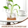 Vases Hydroponic Aneth Ornaments Simple Design Home Decorations Planter Bureau de bureau Plantation Bureau