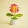Декоративные цветы DIY Handwoven Mini Petted Flower Office Office Offic