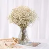 100g Flores secas Baby Breath Breath Gypophila Bouquet Decoração de casa BOHO Decoração colorida de festa de casamento 240422