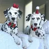 Vêtements pour chiens de Noël costume de animal de compagnie habille des ornements de vacances de Noël