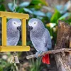Andere vogels levert 1 pc's huisdier massief houten spiegel papegaai plezier staande dennen speelgoed vogels accessoires met klokkenspeelgoed