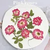 Decorative Flowers 5-8cm/12pcs Dried Pressed Pink Rose Branches Mini Roses DIY Adhesive Phone Case Po Frame Facial Sticker Wedding