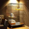 CATTORI CATTORI CAGE LUSSO CASA CATTI IN IN INVIO CASA SUPPORTO PET PET PET SUPPRESSIMENTE SPAZIO SUPPRESSIMENTE