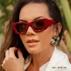 Sonnenbrille Die höchste Version des einfachen und vielseitigen Dreidimensionengefühls des Promi-Stils Frauen-Trend