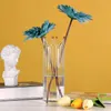 Vases 21 cm Couronne en verre créatif nordique de haut pour plante Bouteille de fleur de fleur