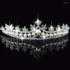 Hair Clips Nice Wedding Veil Headpiece For Rhinestone Pearl Crystal Br