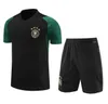 2024 Германия годовой костюм футбольные майки Kroos Gnabry Werner Reus Muller Gotze Football Room Germany Training Suit Men Sportswear Короткие рукава Camisas de Foot