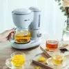 600 ml de cafetière américaine ménage petite goutte à goutte automatique mini-pot de fleur de fleur à double boisson 220V 240423