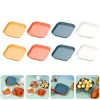 Assiettes 12 pcs plateau assiette osseuse récipient de fruits de fruits en os