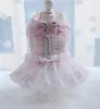 Princess Dog Dress Dresses Plaid Lace Design Girl Pet Pet Guirt Skirt Warm Clothes Whate 240422