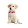 Hundebekleidung 50pcs Fliege Krawatte Sommerfruchtstil Haustier Bowties Krawatten Kragen Haustiere Pflege Accessoires für kleine Hunde Lieferungen