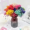 100g Flores secas Baby Breath Breath Gypophila Bouquet Decoração de casa BOHO Decoração colorida de festa de casamento 240422