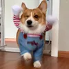 Odzież dla psa Zabawny kostium dla zwierząt Halloween Cosplay Zestaw świąteczny kota Puppy Party Ubranie dla małych średnich dużych psów