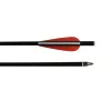 Dart 8*6mm ungdomsfiberglaspil armbågsbultar med 3 "TPU VANE FLAT NOCK SCREW POINT SHOPT BEAST Bågskytte utomhus