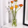 Jarrones de 21 cm de altura de la corona de vidrio creativo nórdico de alto contenedor de macetas de flores de la botella