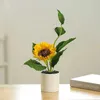 Decorazioni da giardino piante in vaso simulate in vaso artificiale panno di fiori verdi piante domestiche decorazioni per feste di nozze decorazioni per la fotografia creativa