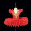 2024 Robe de ballet de filles mignonnes pour enfants Dance Dance Vêtements pour enfants Costumes de ballet pour filles Dance Leotard Girl Dancewear 240412