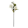 Fiori decorativi 1pc Fino fiore di simulazione magnolia pianta con foglie di oversize artificiale grande decorazione per la casa 3 teste sentenza schiumosa