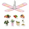 Grow Lights LJL-LED Light Foldable Phyto Lamp Full Spectrum Bulb For Indoor Plants Bloom Flowering Lamps Garden E27