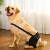 Ubrania dla psa Wsparcie nogi Brace Pet Knee Knee Pack Proctor Bandage Bandage Bandage Chroń rany Akcesoria