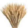 Decorative Flowers 100Pcs Golden Natural Wheat Bouquet Primary Colors Fall DIY Arrangement Props For Farmhouse Home Wedding Party Decoration