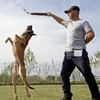 Pagnière d'entraînement du transporteur pour chiens Pouche de traitement des jouets pour animaux