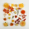 Fleurs décoratives 46pcs Orange Artificial Silk Flower Head Greenery pour DIY Crafts Vase Vase Bridal Wall Decor Fabo Combo Set