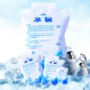 Outils Reutilisables Ice Pack Injection d'eau Gel Dry refroidisseur Sac Glaçage Sacs PE