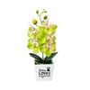 Fleurs décoratives papillon artificiel Orchidée Bonsaï Fausse fleur avec des orchidées de mite en pot Plantes de tissus non tissés