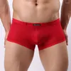 Underpants BRAVE PERSON Nylon Lace Men's Boxer Shorts U Convex Pouch Sexy Transparent Underwear Men Boxers Slip Thin Cool For