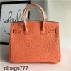 Sac Platinum Handsbag Outrich Designer Hands Sacs à la mode portable One épaule inclinée à la vache femme femme orange ziny authentique cuir