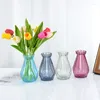 Vases Vases de fleurs en verre nordique Transparent Hydroponic Craft Living Room Arrangement Access