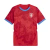 2024チェコ共和国メンズサッカージャージナショナルチームSchick Soucek Chytil Chory Sadilek Home Away Football Shirts半袖大人のユニフォーム