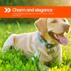 Hondenkragen 6 pc's Pet Tag ID Tags Hangnaam Plaat Roestvrij staal Pendent Charm Personaliseren