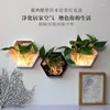 Decoratieve beeldjes Wanddecoratie Hangende hydrocultuur Green Radijs Flowerpot Woonkamer Dineren