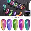 Gel Cat Eyes Magnetic Nail Gel Polish Set With Magnetic Stick Spar Cat Starry Shining Chameleon Laser Cat Eye Hybrid Varnishes