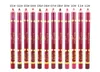 12 cores lápis de lábios longos durar a prova d'água fosca de lipstick de lipstick tool6511623