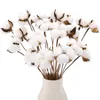 20pcs Fleurs séchées en coton Coton artificiel tiges florales fausses pour la décoration de mariage à la maison Bouquet Coton floral 240417