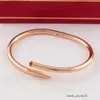 Klassieke roségouden bangle nagelarmband modestijl gewoon een nageljuwelendesigner voor dames heren manchet onveranderlijk kleur hoogwaardige stalen vrouw heren armbanden