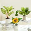 Decorações de jardim Plantas em vasos simulados Plantas artificiais Flores verdes Plantas em casa Decoração de festas de casamento Decoração de jardim de fotografia criativa Prop