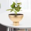 Vasi di disposizione floreale Vase Metal Home Decor Centrotavola decorativa Gold Pot