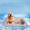 Sommer Haustierkatze und Hund Cool Pad Ice Cold Feeling Pet Pad Sofa Matte Katzenbetthundzubehör erfrischende Lieferungen Haus 240411