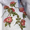 Decorative Flowers 5-8cm/12pcs Dried Pressed Pink Rose Branches Mini Roses DIY Adhesive Phone Case Po Frame Facial Sticker Wedding