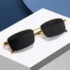 Lunettes de soleil designer Head Leopard pour hommes et femmes Mode à demi-cadre Lunettes de soleil Fashion Lunettes de soleil individualisées Miroir plat VJUI