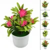 Dekorative Blumen 1PC Plastik Künstliche Blume Simulation Bonsai gefälschter Lotus Topf Pflanze Wohnkultur Büro rot/rosa/gelb/orange/lila